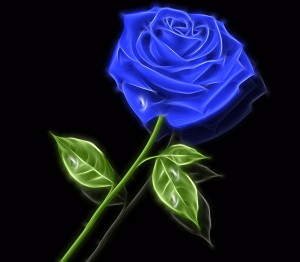 Blue Rose Glow 01_OSG